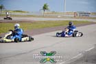 kart-(242)