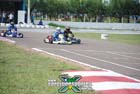 kart-(294)