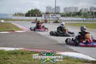 kart-(344)