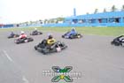 kart-(729)