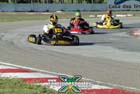 kart-(231)