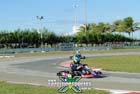 kart-(233)