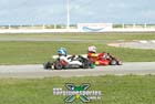 kart-(260)