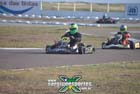 kart-(418)