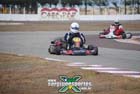 kart_final-(117)