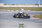 kart-(247)