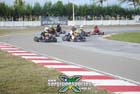 kart-(404)