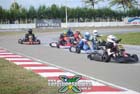 kart-(408)