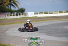 kart-(501)