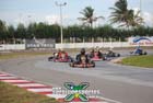 kart-(767)